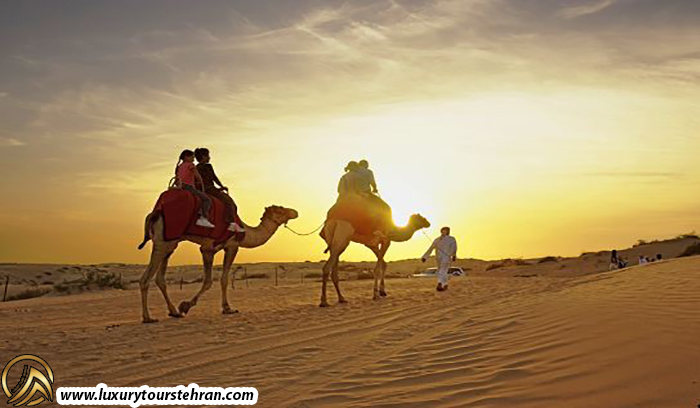سفر به کویر مصر